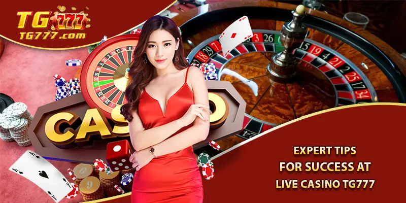 Expert Tips for Success at Live Casino Tg777