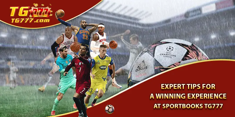 Expert Tips for a Winning Experience at Sportbooks Tg777