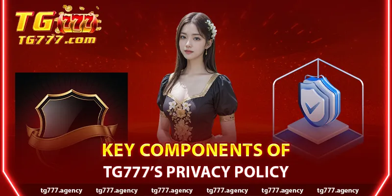 Key Components of TG777 Privacy Policy