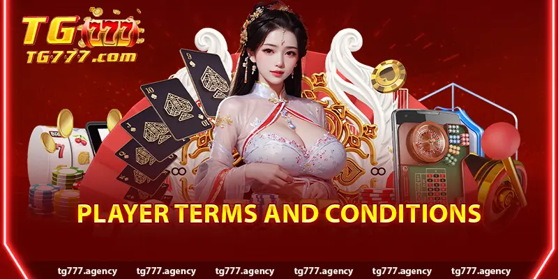 Player Terms and Conditions